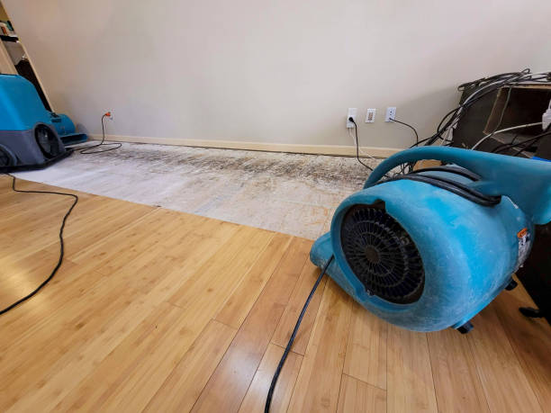 Professional Flood Damage Cleanup technician working in Saltillo, MS